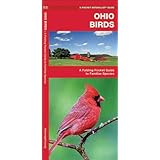 ohio birds a folding pocket guide to familiar species pocket naturalist guide series