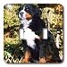 Dogs Bernese Mountain Dog - Bernese Mountain Dog - Light Switch Covers - double toggle switch