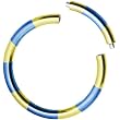 16 Gauge 5/16 Blue Yellow Anodized Titanium Segment Ring