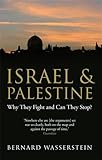 Israel and Palestine : why they fight and can they stop?