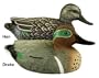 6 - Pk. Carry - Lite� Duck Commander Green Winged Teal Decoys