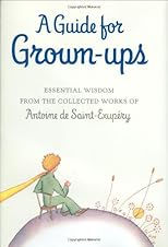 A Guide for Grown-ups