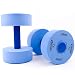Exervo Aqua Fitness Pool Dumbbells Light Resistance Pair