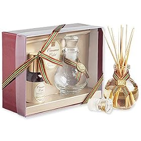 Aromatique Cinnamon Cider Mini Reed Diffuser