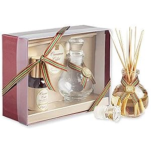 Aromatique Cinnamon Cider Mini Reed Diffuser