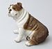BULLDOG Brindle RESIN Sit Bull dog MEDIUM Figurine 367B