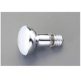 HR33138 １１０Ｖ／ ６０Ｗ レフ電球【屋内用】