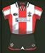 Official Mouse Mat SOUTHAMPTON F.C. Kit