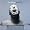 Nitin Sawhney - Beyond Skin