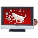 Skyworth SLC-1963A 19-Inch Active Matrix TFT LCD TV/DVD Combination