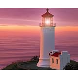  : Washington State Lighthouse Jigsaw Puzzle 1000pc