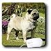 Dogs Pug - Fawn Pug - Mouse Pads