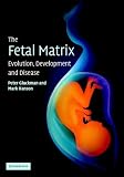 The Fetal Matrix: Evolution, Development and Disease