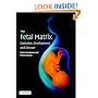 The Fetal Matrix: Evolution, Development and Disease