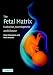 The Fetal Matrix: Evolution, Development and Disease