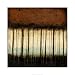 Autumnal Abstract IV - Jennifer Goldberger Art Print Poster 30 x 30