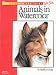 Animals in Watercolour (How to Draw & Paint) (How to Draw and Paint Series)