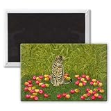 The Apple-Mouse by Ditz - 3x2 inch Fridge Magnet - large magnetic button - Magnet