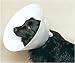 Kitchen & Housewares : Buster Disposable Collar - 15 cm