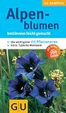 Buch