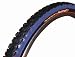 Panaracer Tire Fire XC Pro 26 x 2.1 Wire Blue