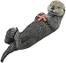 Sea Otter with Starfish
