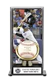 David Wright Gold Glove Baseball Display Case - New York Mets - MLB Gloves