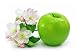 Green Apple Fruit Isolated with Pink Flowers on Branch - 36