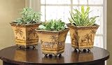 Outdoor Living : Safari Pots