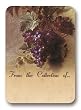A Bunch of Grapes Hanging on a Wall - Set of 20 Adhesive Bookplates