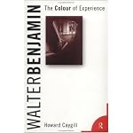 Walter Benjamin: The Colour of Experience book cover