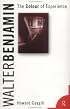 Walter Benjamin: The Colour of Experience