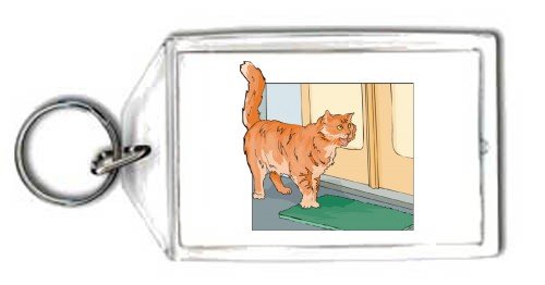 Keychain with mat, orange, cat, pet, door