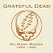 25 Grateful Dead Projects