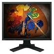 21 In Blk LCD 1000:1 Dig/alog 16MS 1600X1200 Blk Slim Bezel