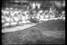 Classic Samoa & Samoan Culture Film DVD: 1920s Somoan Island People & Culture History...