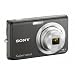 Sony Cybershot DSC-W180 10.1MP Digital Camera with 3x SteadyShot Stabilized Zoom and 2.7-inch LCD (Black)