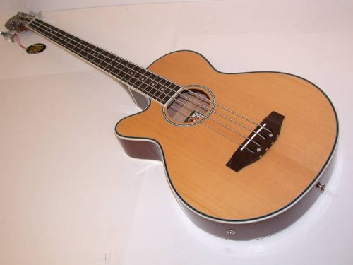 Left Hand Oscar Schmidt Acoustic Electric Bass Guitar, Lefty, Venetian Cutaway, Gig Bag