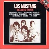 Search : Grandes Exitos