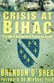 Crisis at BIHAC: Bosnia's Bloody Battlefield