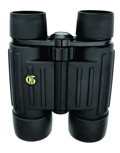 Galileo G-1042PC 10x42 Phase Coated Binoculars w/ BAK-4 Prisms On Sale