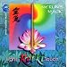 Reiki:the Light Touch