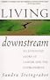 Living Downstream: An Ecologist Looks At Cancer And The Environment