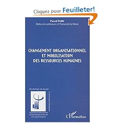 Changement organisationnel et mobilisation des ressources humaines
