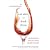 Red, White, and Drunk All Over: A Wine-Soaked Journey from Grape to Glass