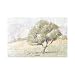 Wishing Tree Poster Print
