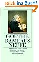 Rameaus Neffe (insel taschenbuch)