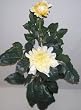 3' Large Dahlia Bush (yellow)