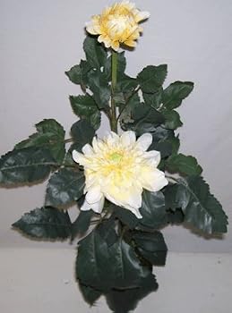3' Large Dahlia Bush (yellow)
