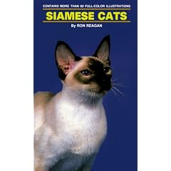 Siamese Cats